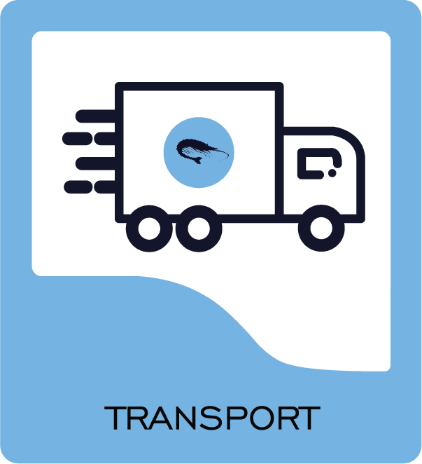 transport